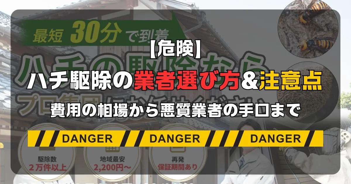 ハチ駆除の業者選び方&注意点