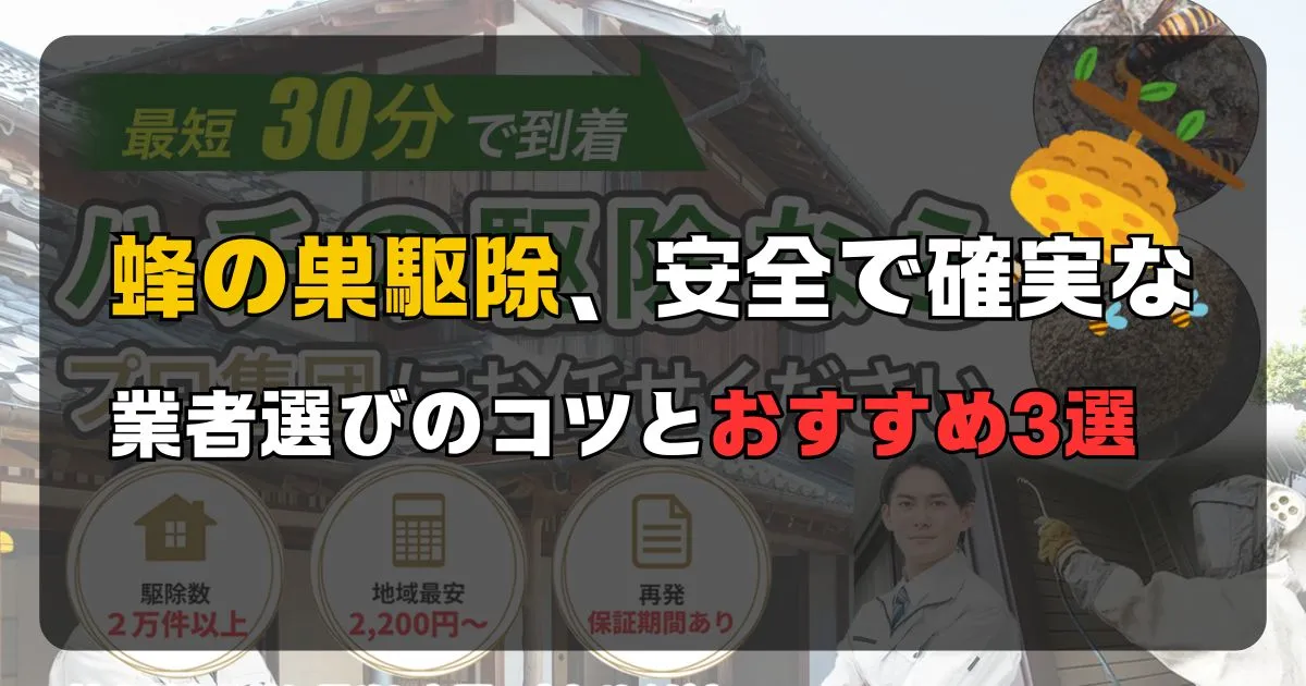 蜂の巣駆除、安全で確実な業者選びのコツとおすすめ3選